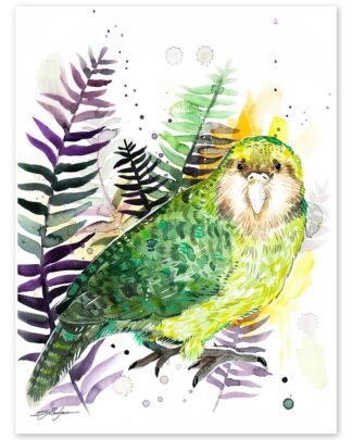 Kakapo, Owl parrot
