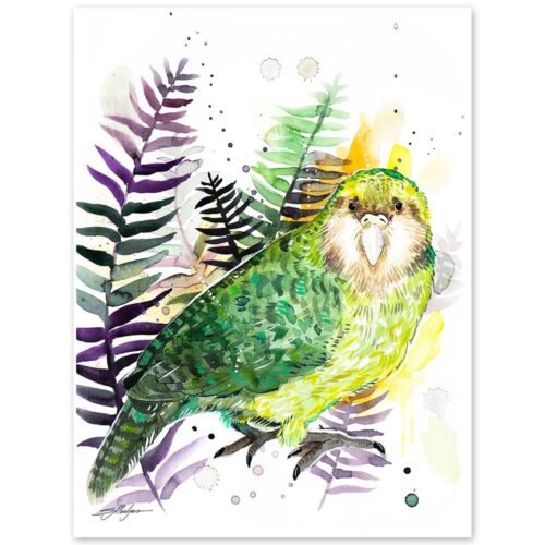 Kakapo, Owl parrot