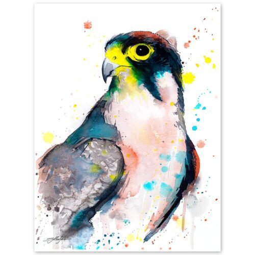 Lanner falcon