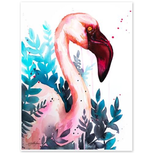 Lesser flamingo