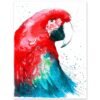 Green-winged macaw