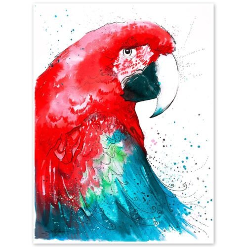 Green-winged macaw