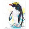 Macaroni penguin Macaroni penguin