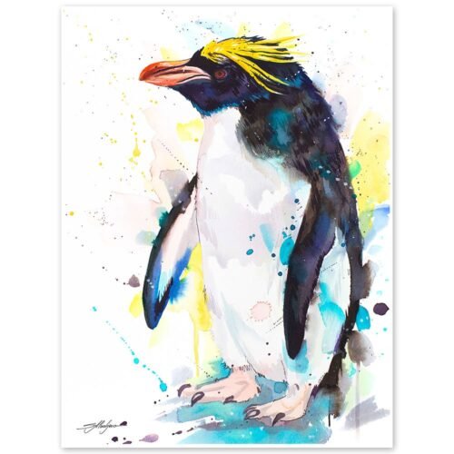 Macaroni penguin