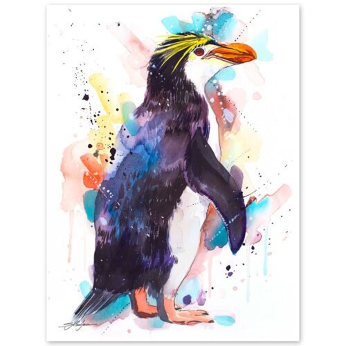 Royal penguin