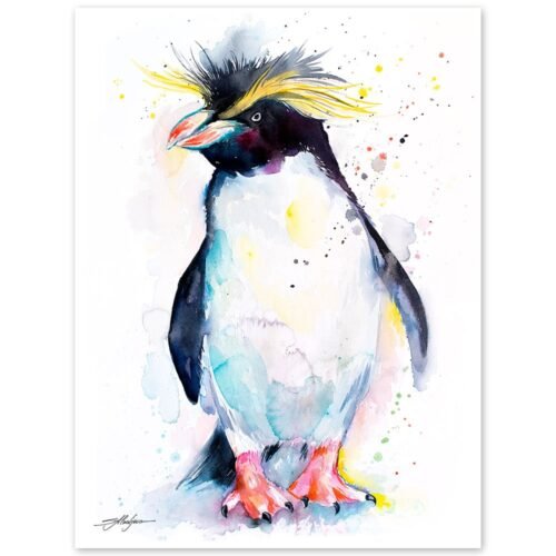 Rockhopper penguin