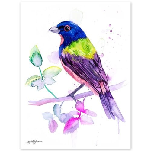 Painted bunting