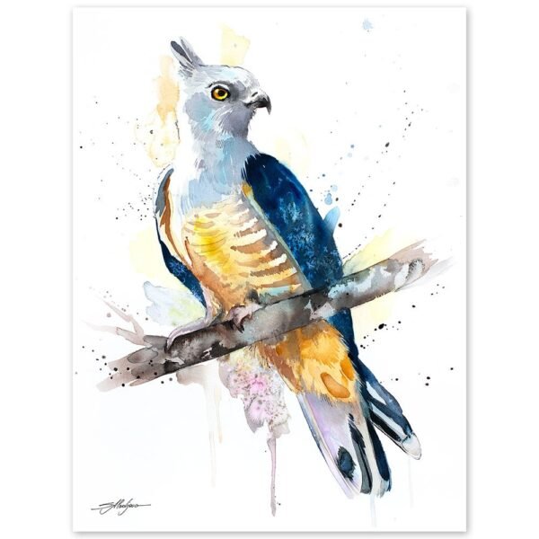 Pacific baza