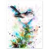 Long-tailed tit
