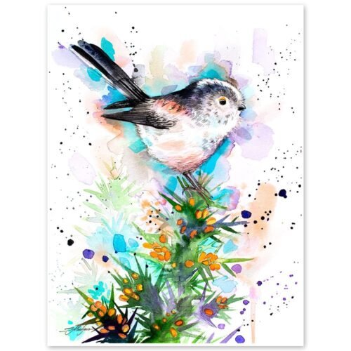 Long-tailed tit