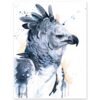 Harpy eagle