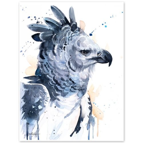 Harpy eagle