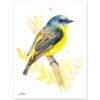 Eastern yellow robin