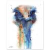Ostrich Ostrich
