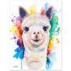 Alpaca