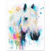 Percherons horse