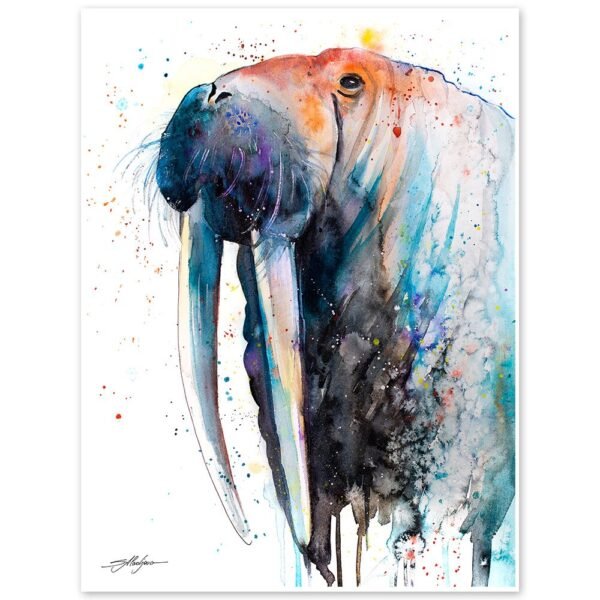 Walrus