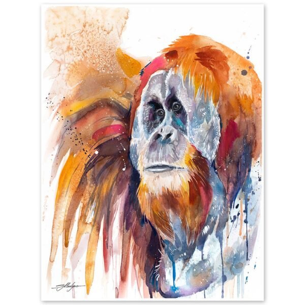 Sumatran orangutan