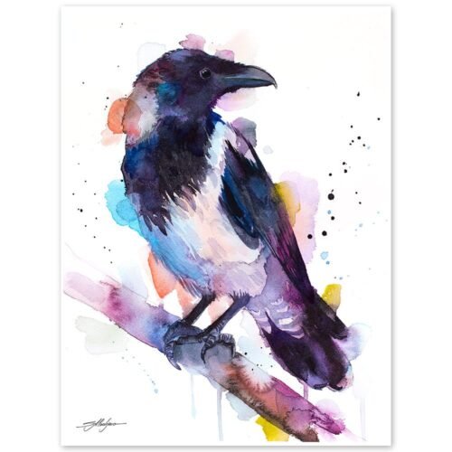 Hooded crow
