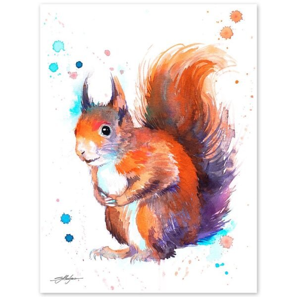 Red squirrel