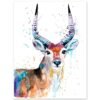 Red Lechwe