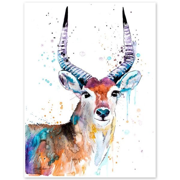 Red Lechwe