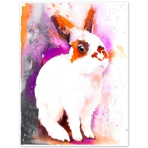 Rabbit