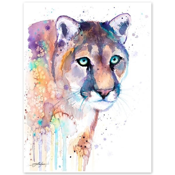 Puma