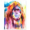 Orangutan Orangutan
