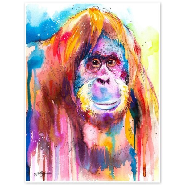 Orangutan Orangutan