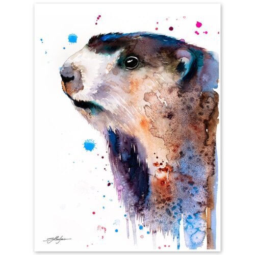 Marmot