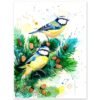 Eurasian blue tit