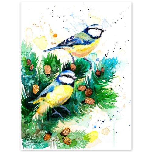 Eurasian blue tit