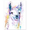 Llama
