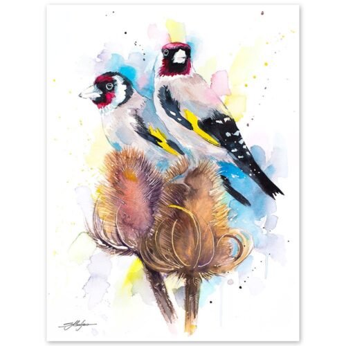 Goldfinch