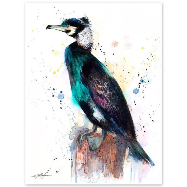 Great cormorant