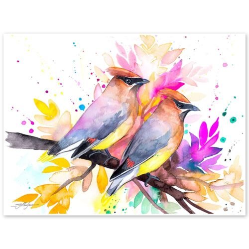 Cedar Waxwings