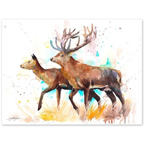 Deer love