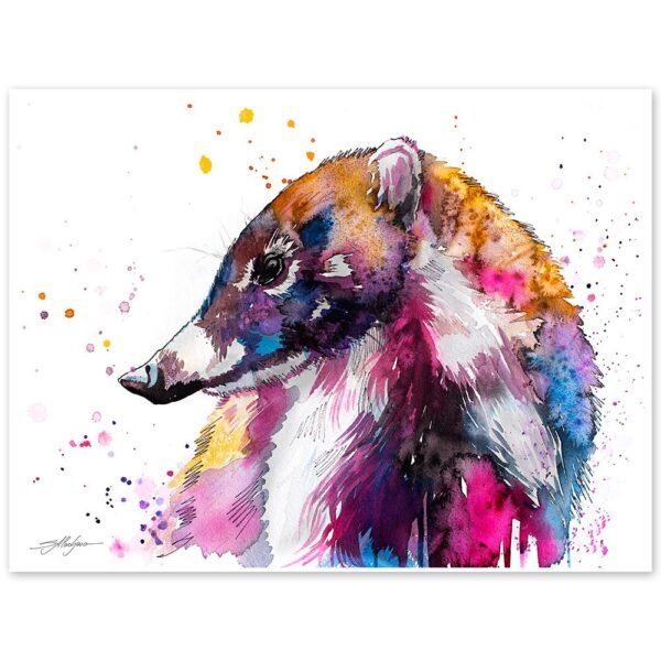 Coati