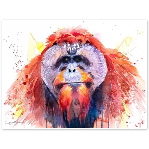 Bornean orangutan