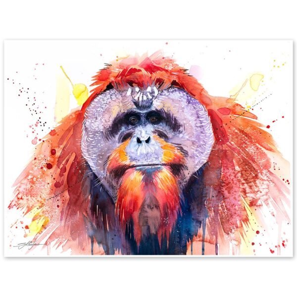 Bornean orangutan Bornean orangutan
