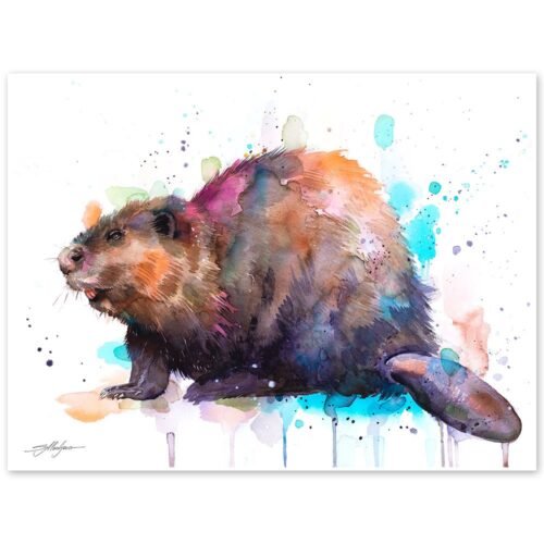 Beaver