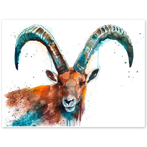 Alpine ibex