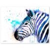 Zebra Zebra