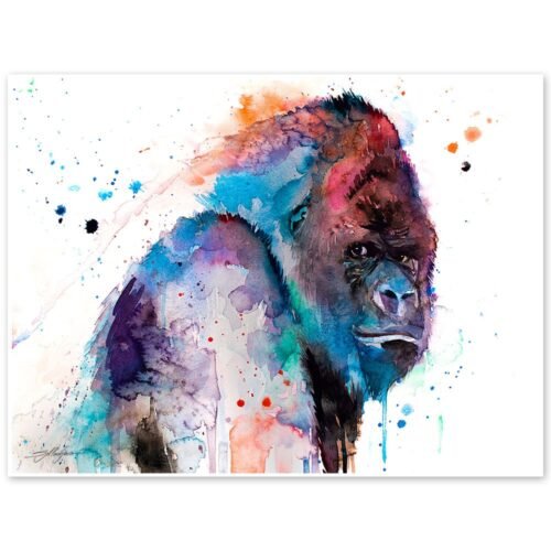 Western gorilla