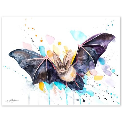 Townsend's big-eared bat