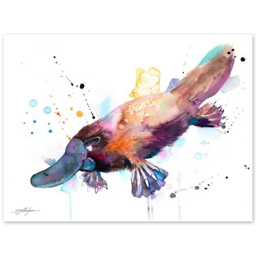 Platypus