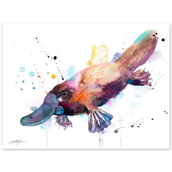 Platypus Platypus