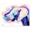 Pink Elephant Head