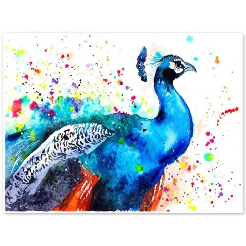 Peacock